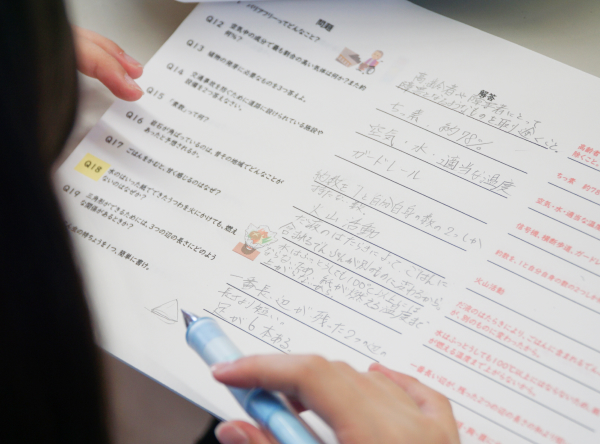 実力判定テスト